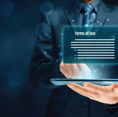 legal-wise-enterprise-website-terms-of-use