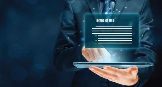 legal-wise-enterprise-website-terms-of-use