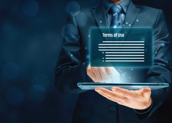 legal-wise-enterprise-website-terms-of-use